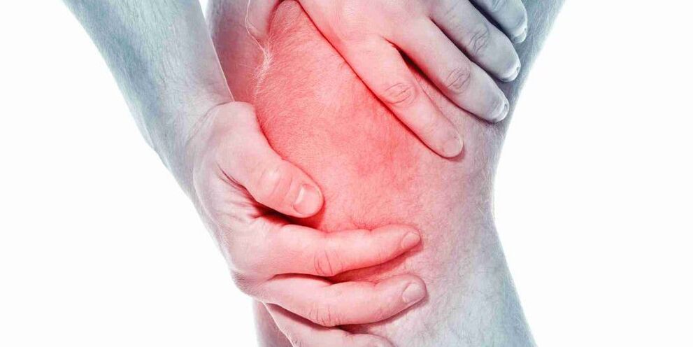 Pain in the bent or straight knee in the joint symptom of the knee joint